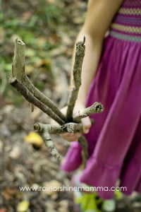 Collecting dead tree branches.