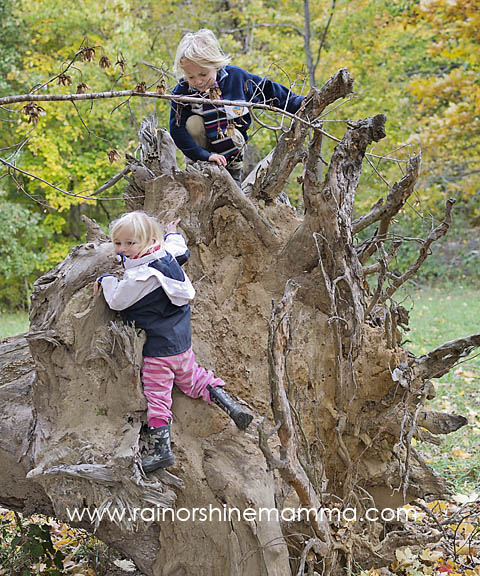 Kids climbing a tree stump