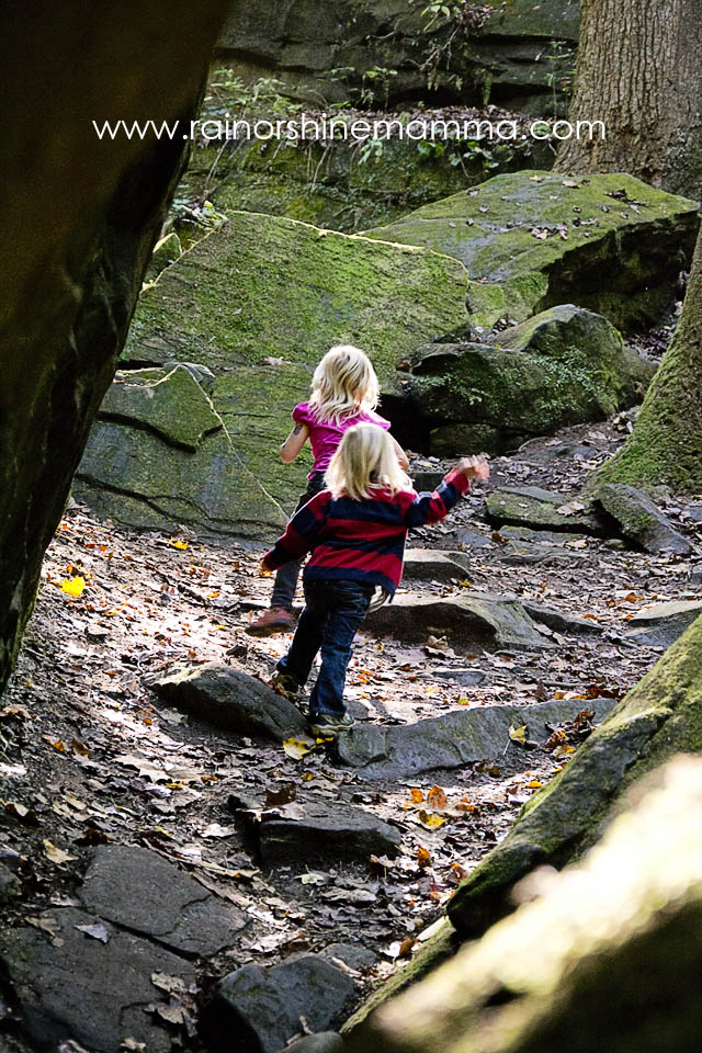 7 Tips for Hiking with Toddlers. Rain or Shine Mamma