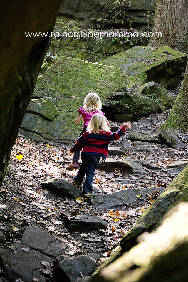 7 Tips for Hiking with Toddlers - Rain or Shine Mamma