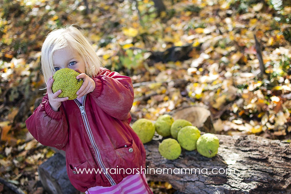 Collecting and smelling crab apples is a fun outdoor activity for young children.