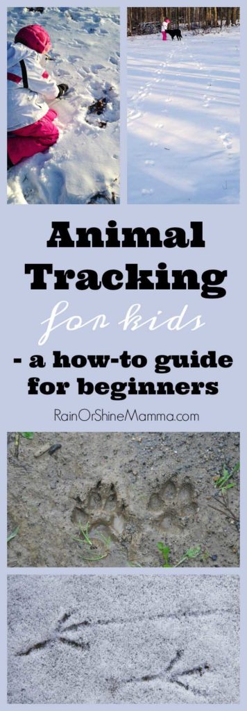 Animal Tracking with Children: A Beginner's Guide. Wildlife tracking is one of our favorite outdoor activities for kids in the winter! These tips and ideas will help you get started. Rain or Shine Mamma