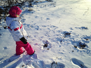 Animal Tracking with Your Child: A Beginner's Guide. Rain or Shine Mamma blog
