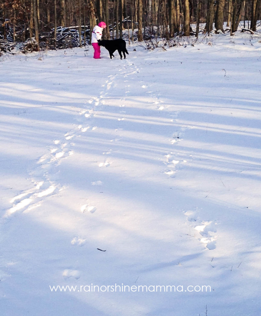 Animal Tracking with Your Child: A Beginner's Guide. Rain or Shine Mamma blog