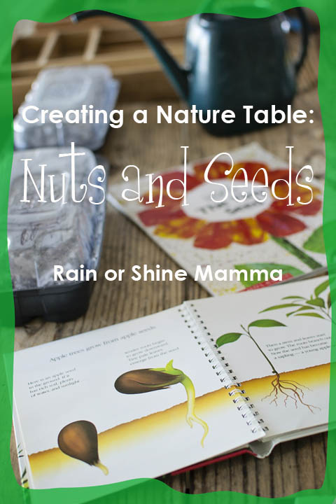 Creating a Nature Table: Nuts and Seeds. Rain or Shine Mamma