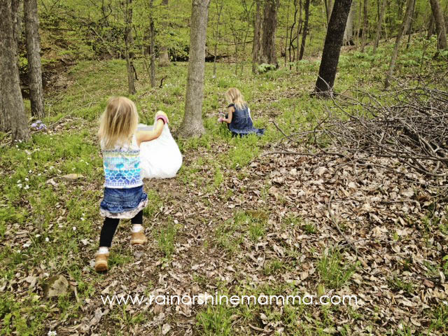 DNR: DNR Kids Learning & Activities: Stinging Nettles