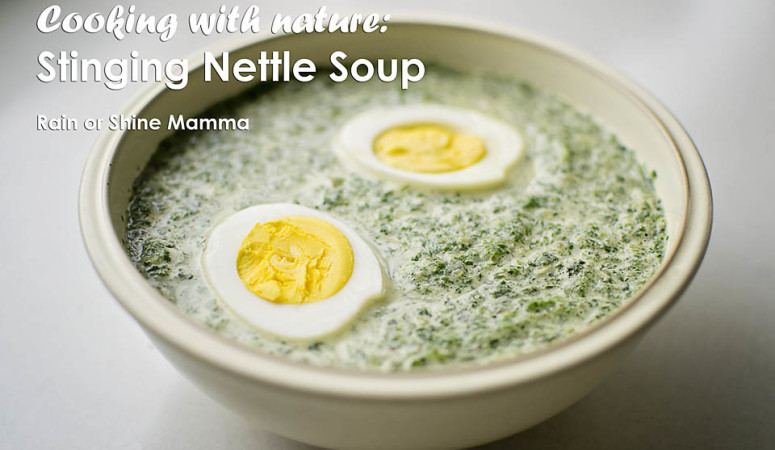 Cooking with Nature: Stinging Nettle Soup