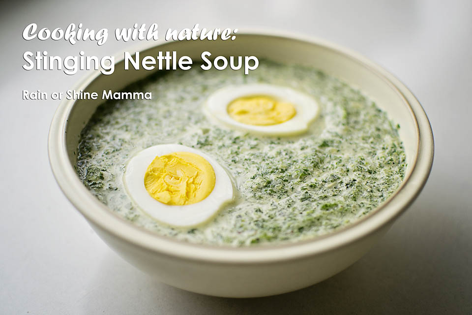 Cooking with nature: Stinging nettle soup recipe. Rain or Shine Mamma