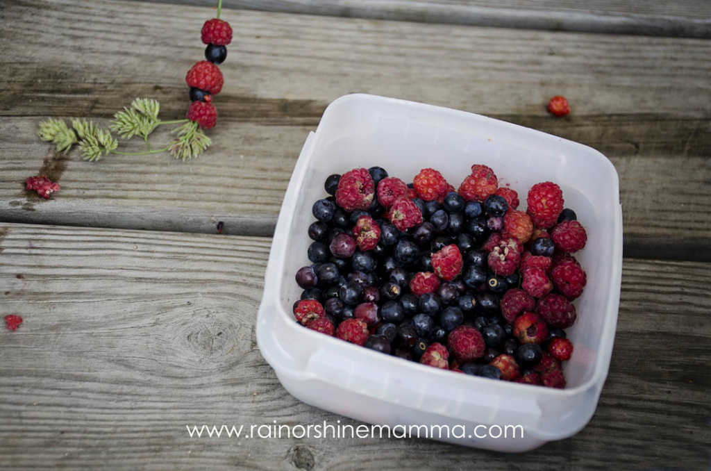 Simple Summertime Adventures: Berry Kebabs. Rain or Shine Mamma