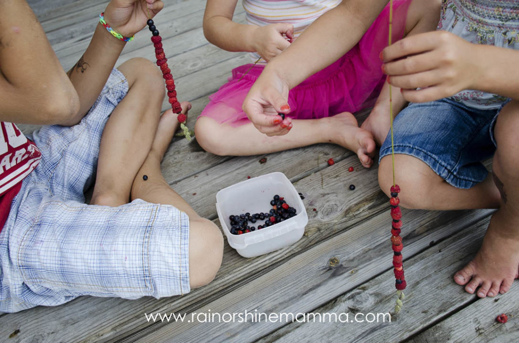 Simple Summertime Adventures: Berry Kebabs. Rain or Shine Mamma