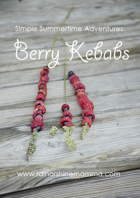 Simple Summertime Adventures: Berry Kebabs. Rain or Shine Mamma