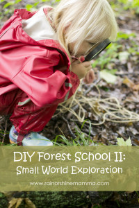 DIY Forest School II: Small World Exploration. Rain or Shine Mamma