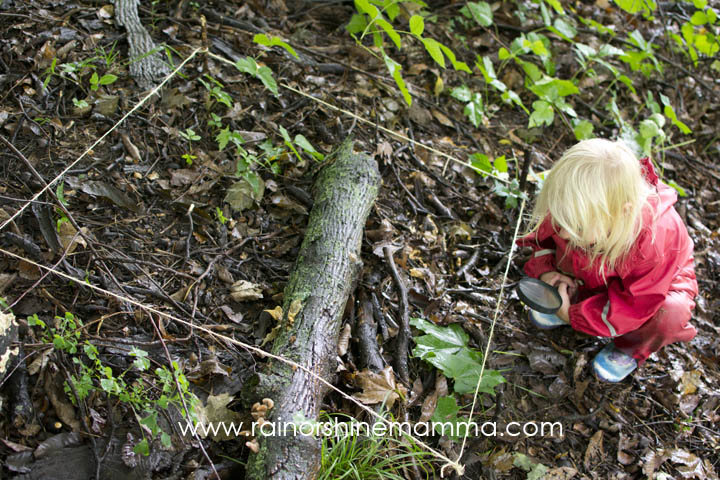 Outdoor Science Activity: Small World Exploration. A forest-school inspired outdoor learning session for preschoolers from Rain or Shine Mamma.