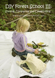 DIY Forest School: Sorting, Comparing and Categorizing. Rain or Shine Mamma