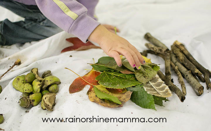 Sorting, Comparing and Categorizing - Forest-School Inspired Math Activities for Preschoolers. Take STEM outside with this fun learning activity for preschool and beyond. From Rain or Shine Mamma.