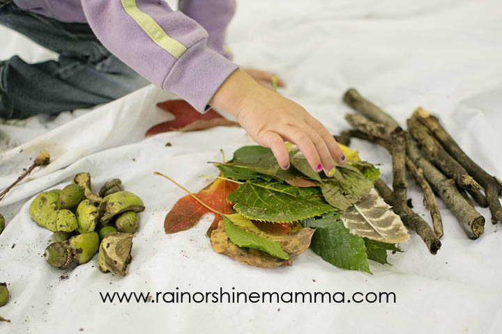 Sorting, Comparing and Categorizing - Forest-School Inspired Math Activities for Preschoolers. Take STEM outside with this fun learning activity for preschool and beyond. From Rain or Shine Mamma.