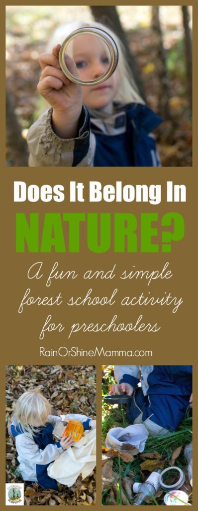 Does It Belong In Nature? A fun and simple forest school activity for preschoolers. It also makes for a perfect Earth Day activity for kids! Rain or Shine Mamma.