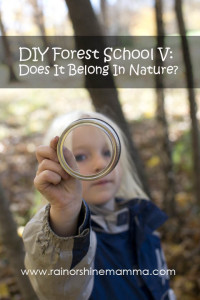 DIY Forest School V: Does It Belong In Nature? Rain or Shine Mamma
