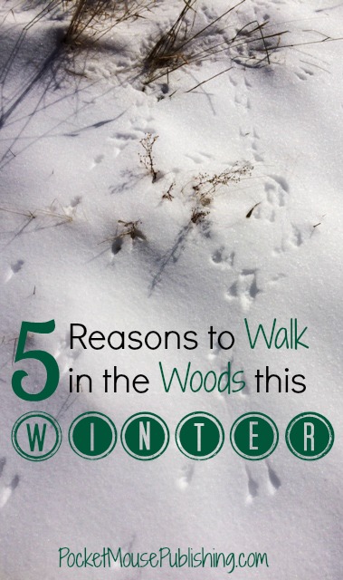 5-reasons-to-walk-in-the-woods