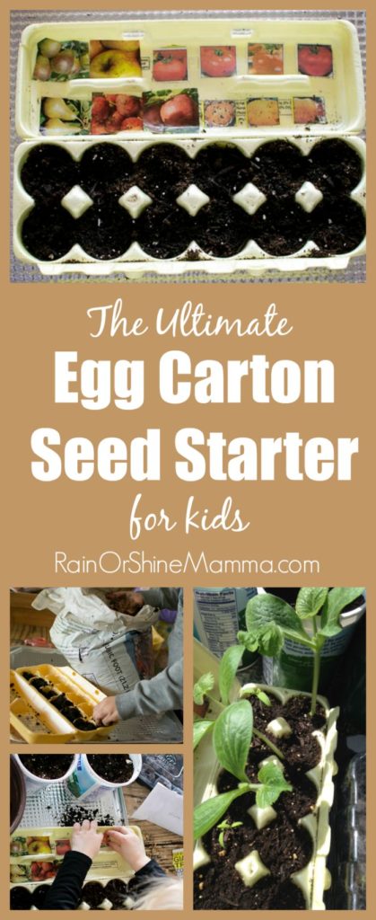 The Ultimate Egg Carton Seed Starter for Kids. This indoor seed starter is super easy for kids to make, and works as a visual reminder of what has been planted. Such a fun spring seed activity to do together! From Rain or Shine Mamma.