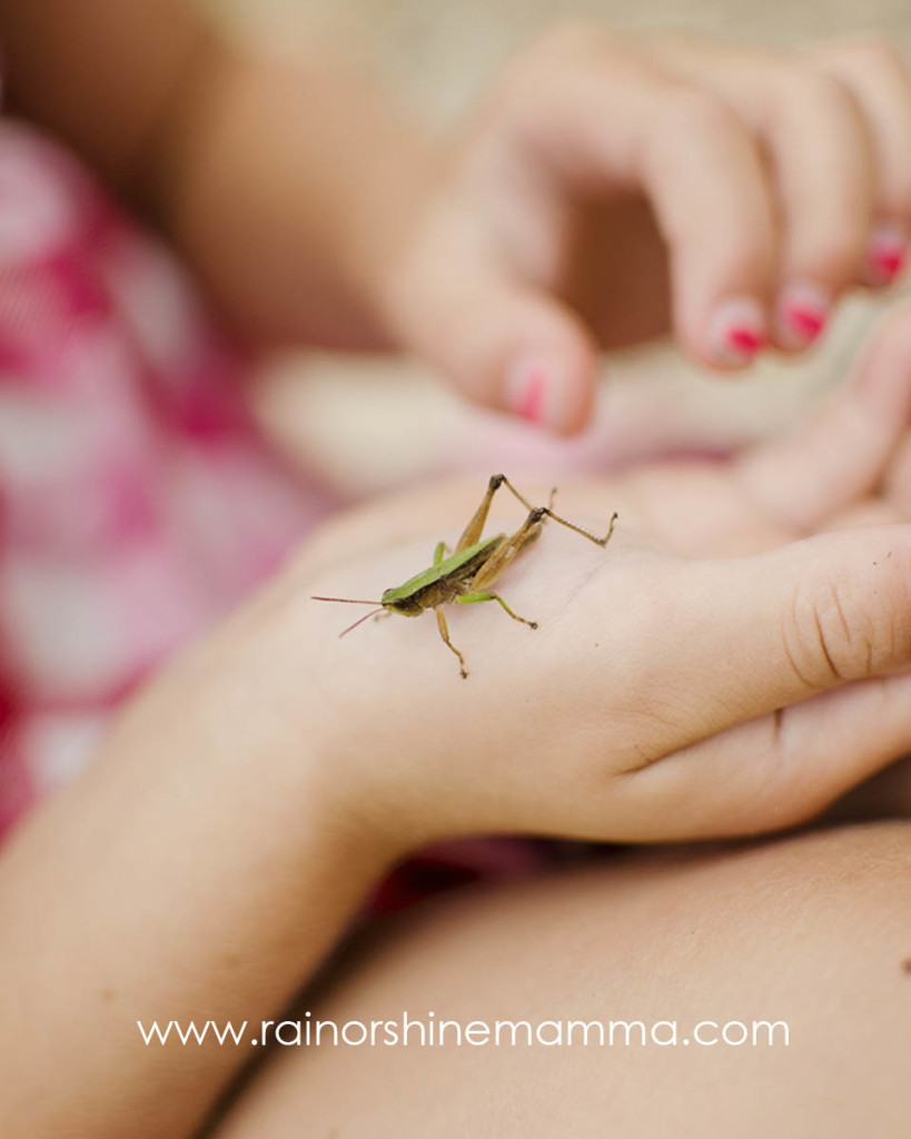 How to Create a Kid-Friendly Backyard. Rain or Shine Mamma.