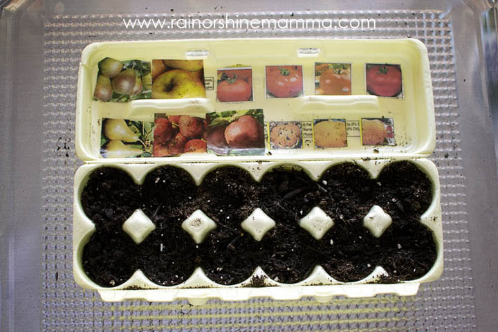 The Ultimate Egg Carton Seed Starter for Kids. Rain or Shine Mamma.