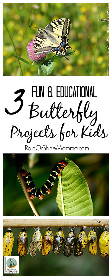 Three Fun and Educational Butterfly Projects for Kids. From butterfly gardens to citizen science, these fun butterfly activities are bound to be a hit with the kiddos!