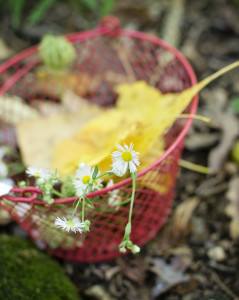 How to Celebrate the Fall Equinox. Rain or Shine Mamma.