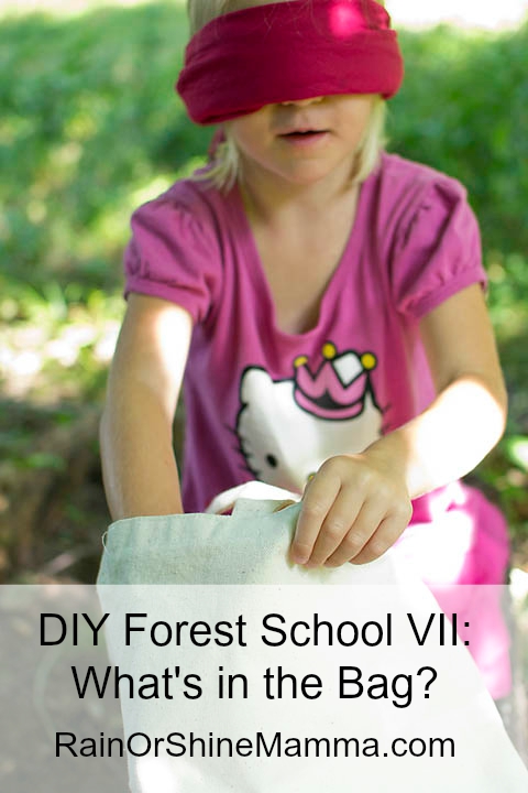 DIY Forest School VII: What's in the Bag?. Rain or Shine Mamma.