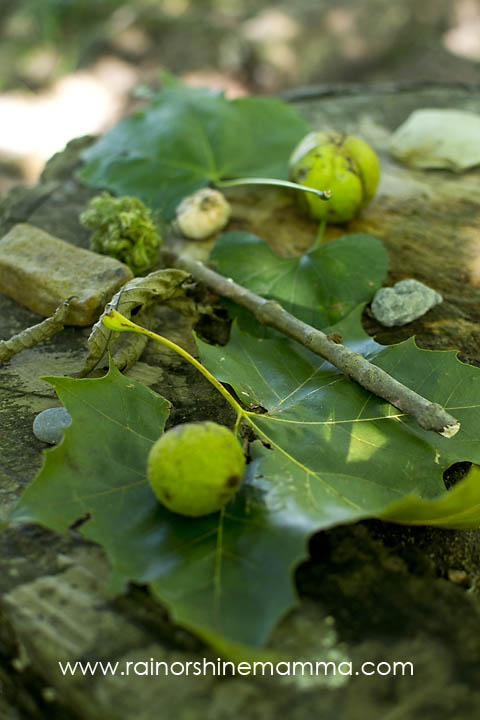 DIY Forest School VII: What's in the Bag?. Rain or Shine Mamma.