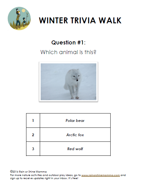 Nature Trivia Walk for Winter - Sample Question