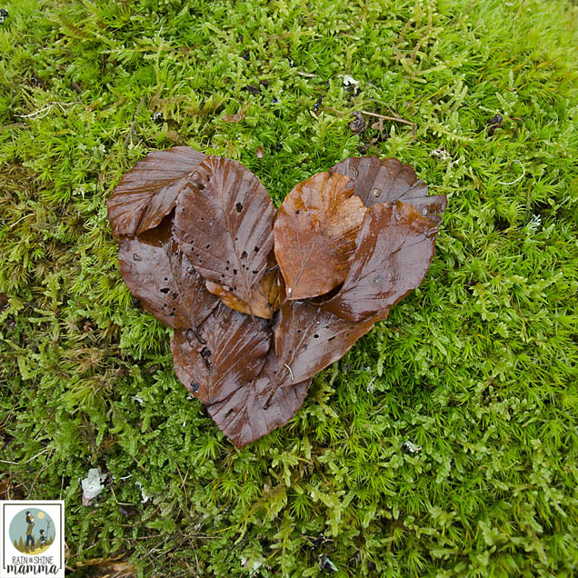 Valentine's Day Nature Art. Create land art as a way to connect children with nature. Great nature activity for any time of the year! Rain or Shine Mamma