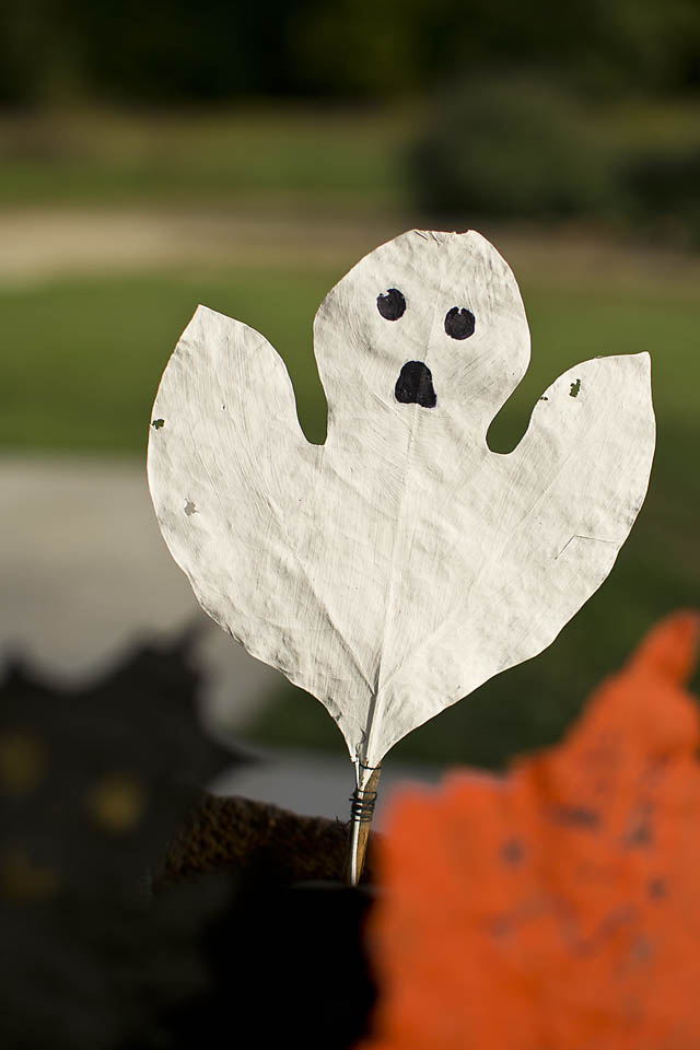 These Leaf Ghost Puppets are a fun Halloween craft for kids and adults alike! An easy to make Halloween nature craft from natural materials. The puppets can be used as DIY Halloween decor or for active play.