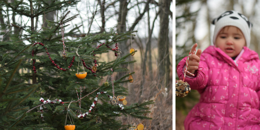 10 Ways to Get Outdoors During the Holidays - Decorate an Edible Tree for Wildlife