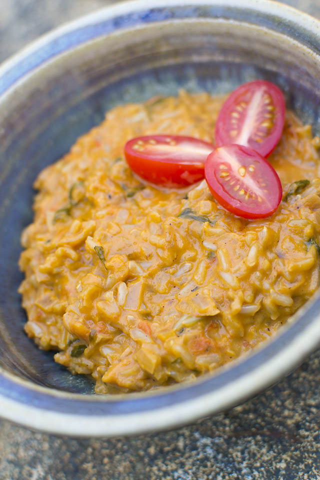 Dutch Oven One-Pot Creamy Rice Recipe (Vegetarian, Gluten-Free). A yummy, healthy campfire recipe that fits for lunch or dinner.