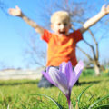 How to Celebrate the Spring Equinox. Looking for outdoor spring activities for the kids? Look no further! Greet the spring with these five fun ideas. Rain or Shine Mamma.