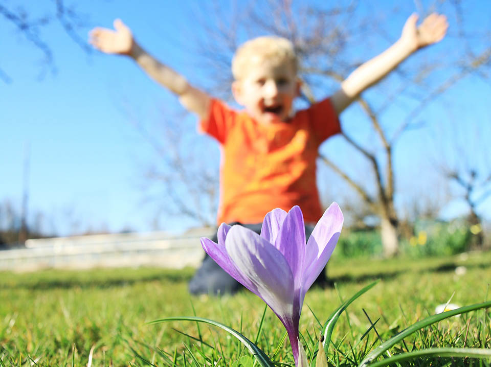 vernal equinox celebration