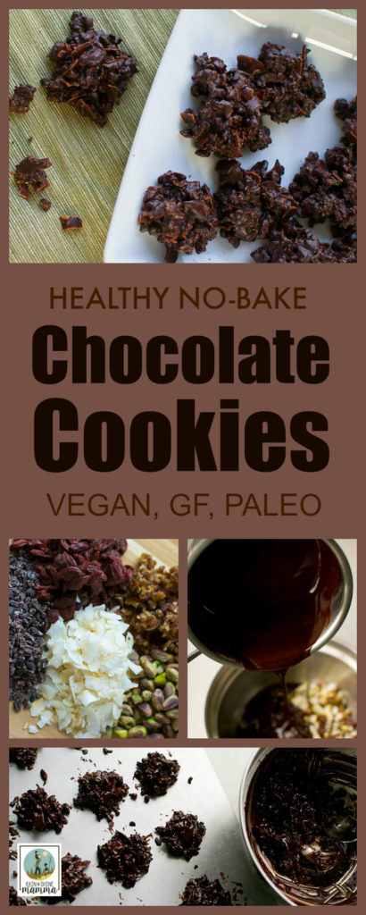 Healthy No-Bake Chocolate Cookies (Vegan, GF, Paleo). These chocolate treats are chock full of dried fruits, nuts and other health-boosting ingredients. Naturally sweetened and refined sugar free. A perfect snack for all your outdoor adventure (and slightly more indulgent than the ol' trail mix!). From Rain or Shine Mamma. trail mix.
