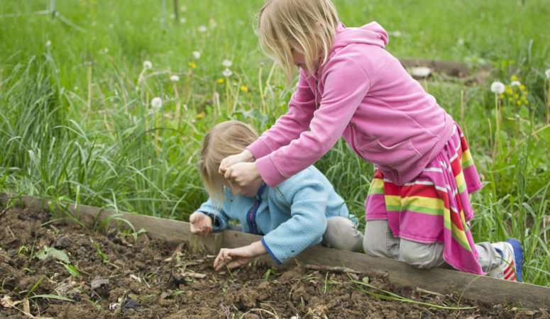5 Common Mistakes When Gardening with Kids (And How to Fix Them)