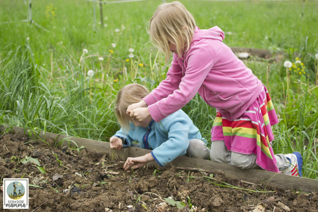 5 Common Mistakes when Gardening with Kids - And How to Fix Them. Experienced gardeners share their best tips and tricks for success when sharing your garden with young children! Rain or Shine Mamma.