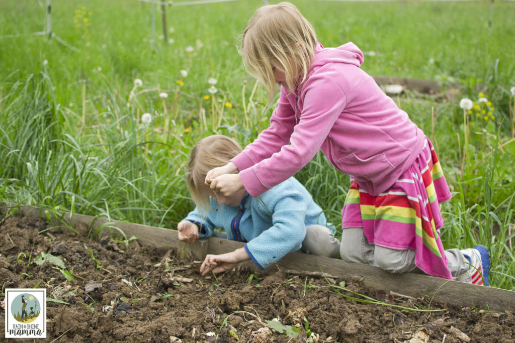 kids gardening