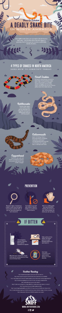 How to Prevent and Protect Children from a Snakebite. How can you tell if a snake is venomous? How do you prevent children from being bitten by a snake? How do you treat snakebites? Great snake bite prevention and treatment tips from an outdoor expert. Rain or Shine Mamma.