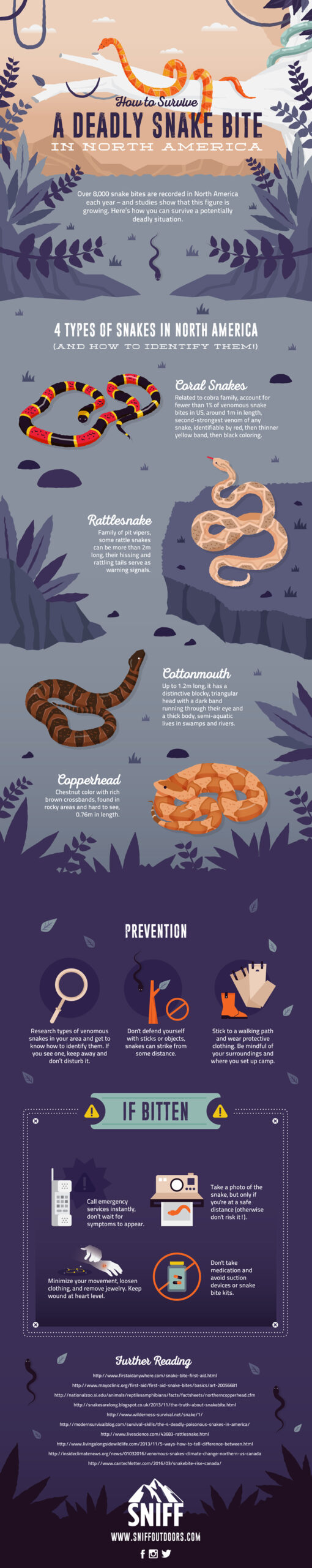 The Best Ways to Protect Yourself and Your Child from a Snakebite