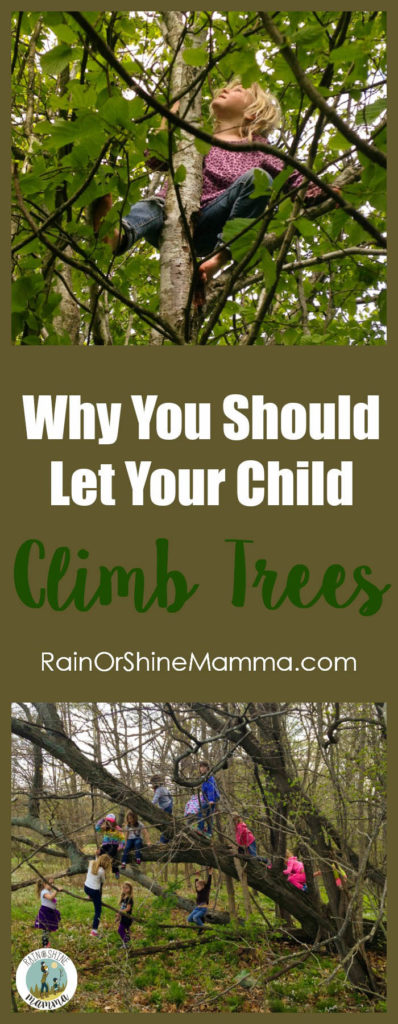 Go Climb a Tree! 13 Reasons Parents Should Encourage Kids to Climb Trees, Kids