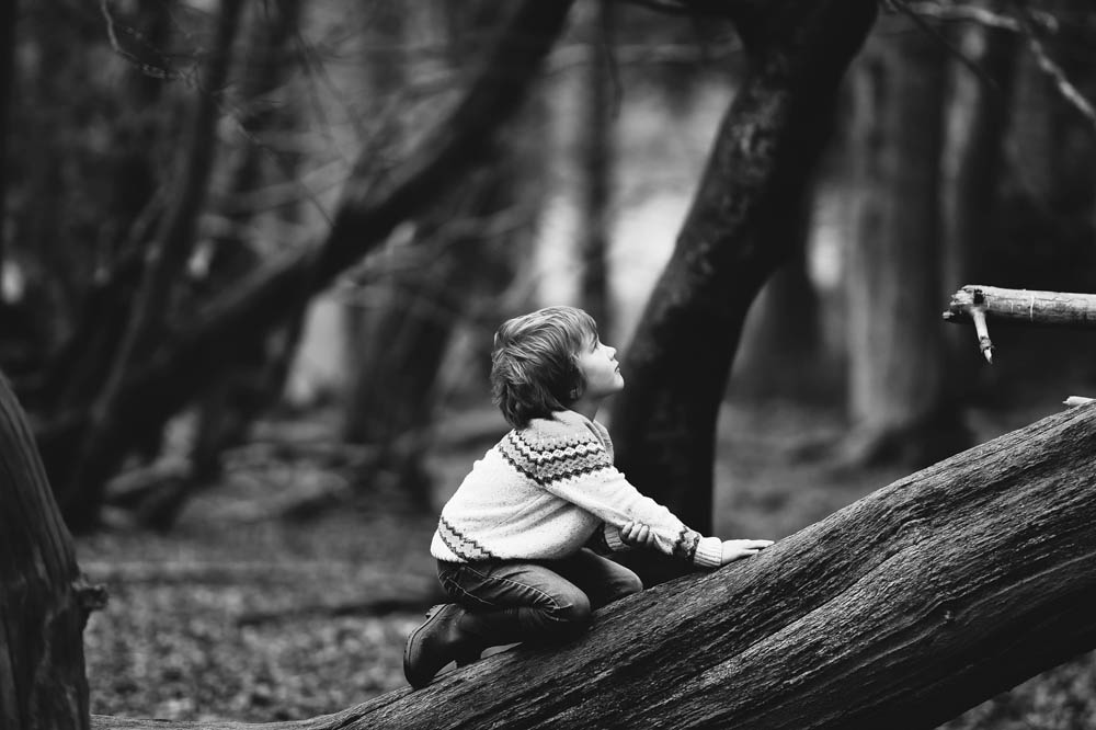 boy climbing tree