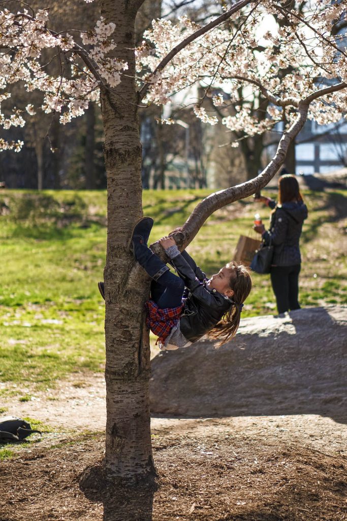 girl climbing tree